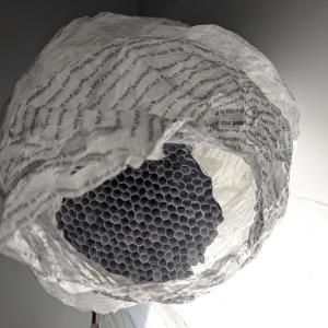 A Hornet's Nest