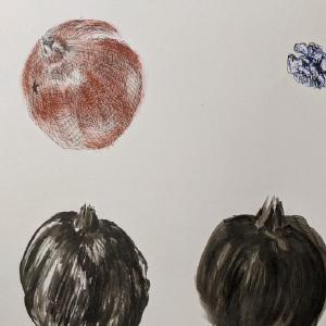 NCAD: Drawing and Visual Investigation